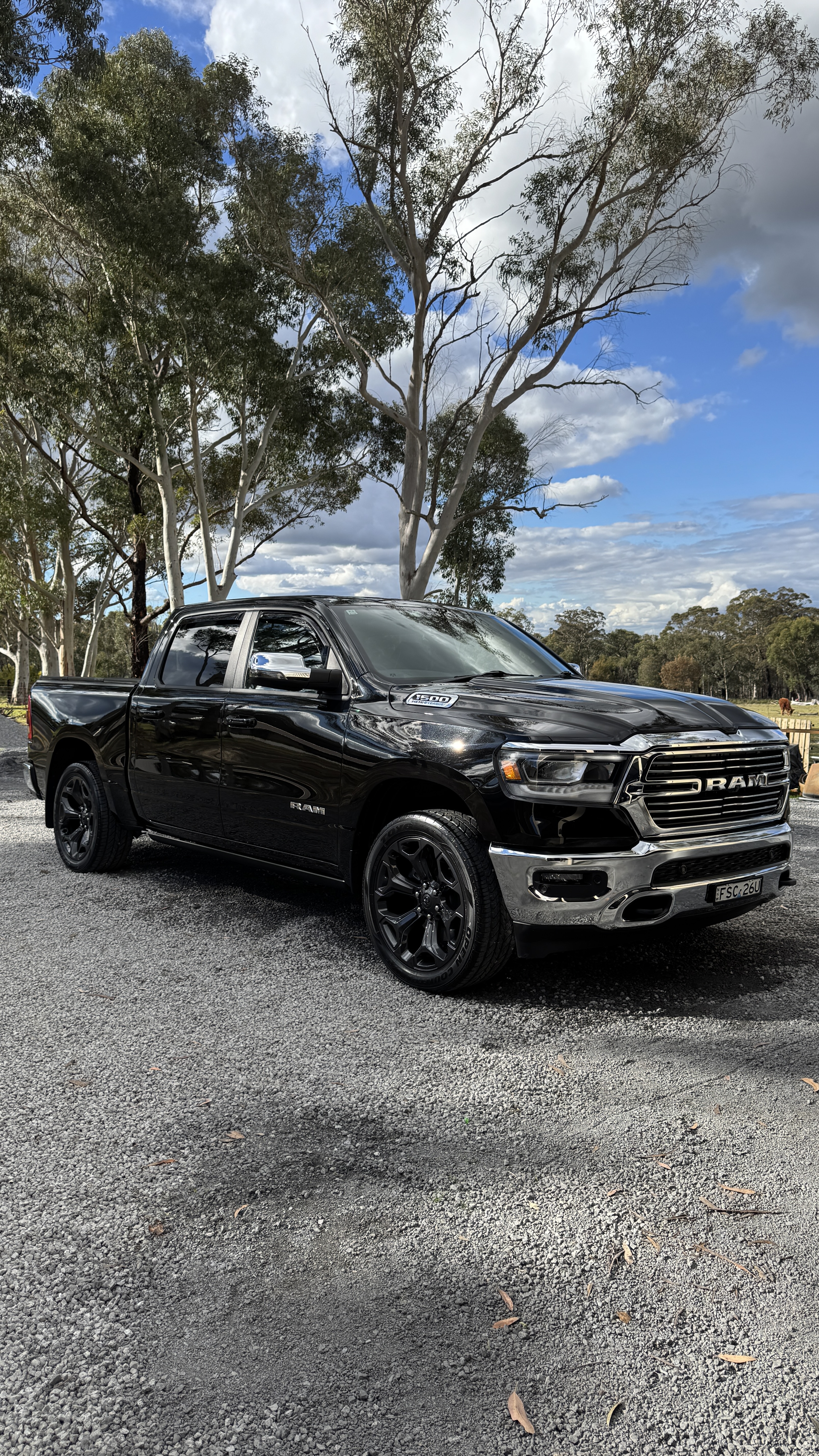 Professional Detailing Excellence